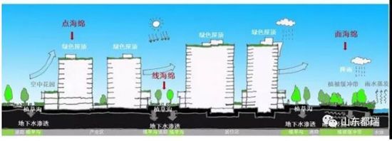 如何理解「海綿城市」的概念？