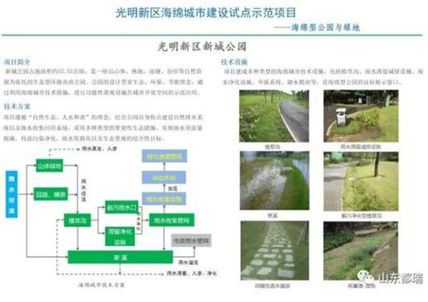 如何理解「海綿城市」的概念？